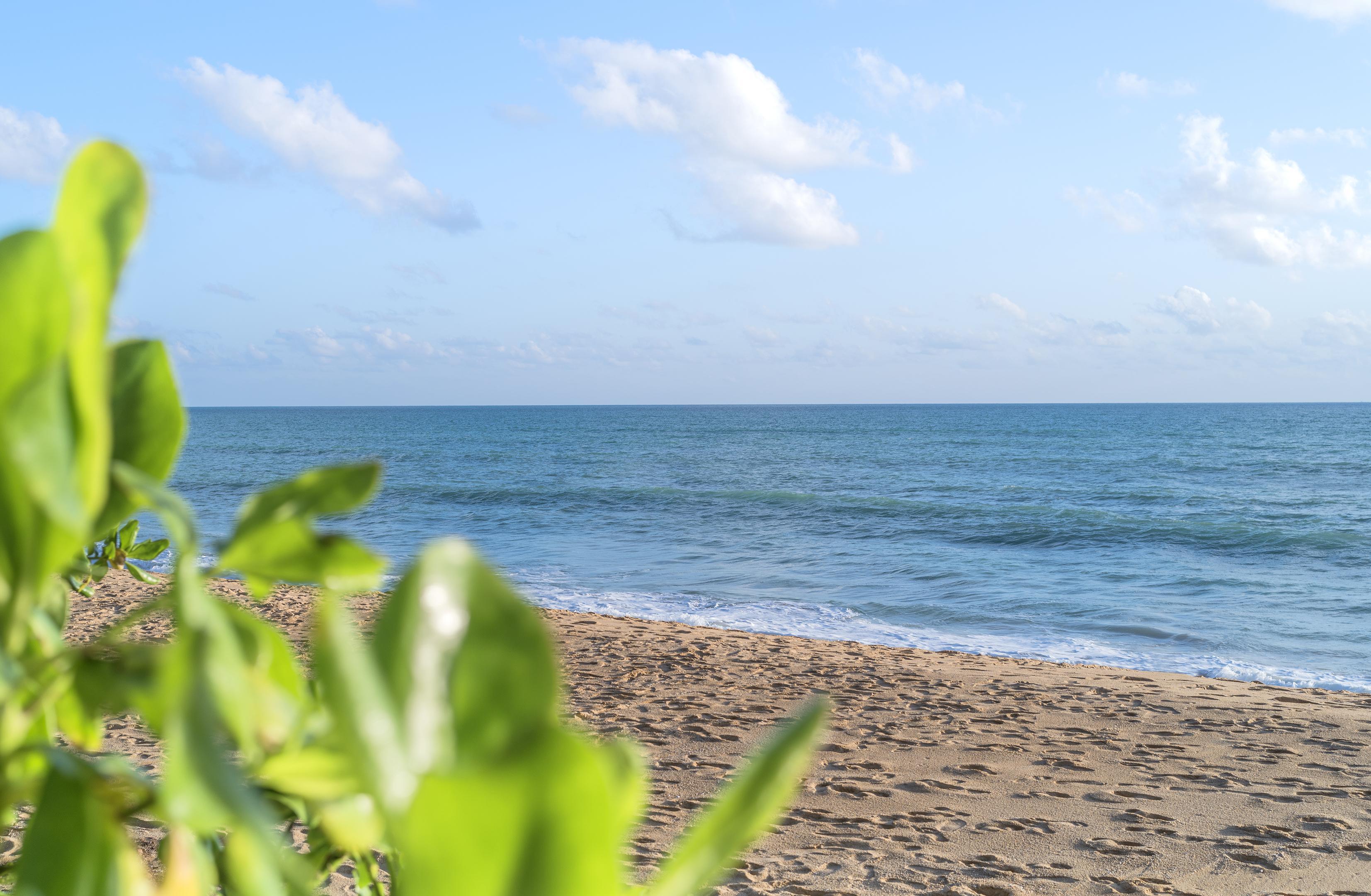 Resort Renaissance Resort&spa - Sha